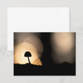 Tiny Mushroom Nature Foto Card (Vorne/Hinten)