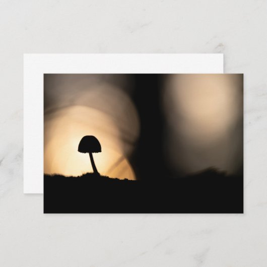 Tiny Mushroom Nature Foto Card (Vorne/Hinten)
