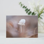 Tiny Mushroom Nature Foto Card (Stehend Vorderseite)