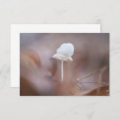 Tiny Mushroom Nature Foto Card (Vorne/Hinten)