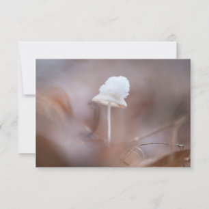 Tiny Mushroom Nature Foto Card