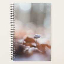 Tiny Mushroom Nature Foto Card