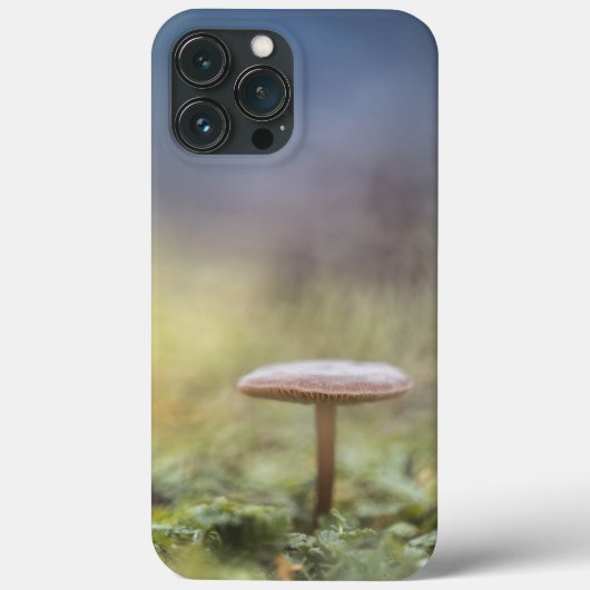 Tiny Mushroom Nature Foto Case-Mate iPhone Hülle (Rückseite)