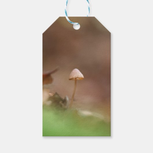 Tiny Mushroom Nature Foto Geschenkanhänger (Vorderseite)