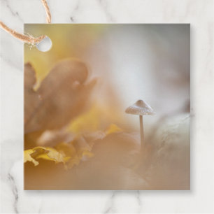 Tiny Mushroom Nature Foto Geschenkanhänger