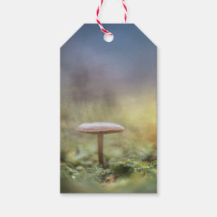 Tiny Mushroom Nature Foto Geschenkanhänger