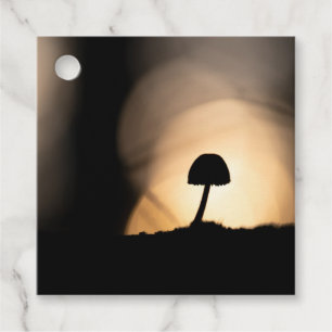 Tiny Mushroom Nature Foto Geschenkanhänger