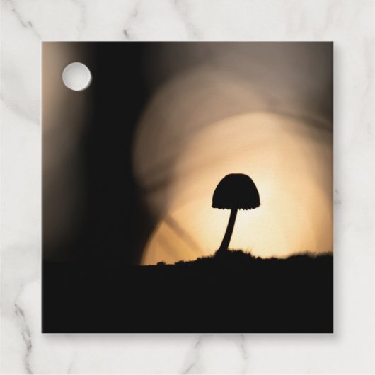 Tiny Mushroom Nature Foto Geschenkanhänger (Vorderseite)