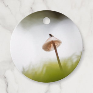 Tiny Mushroom Nature Foto Geschenkanhänger