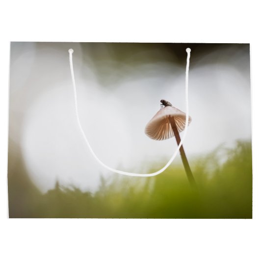 Tiny Mushroom Nature Foto Große Geschenktüte (Rückseite)