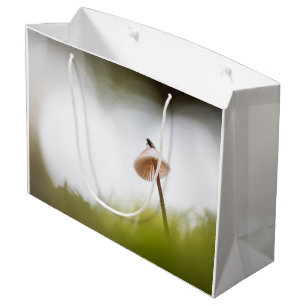 Tiny Mushroom Nature Foto Große Geschenktüte