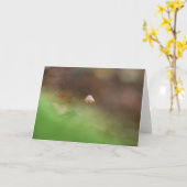 Tiny Mushroom Nature Foto Karte (Gelbe Blume)