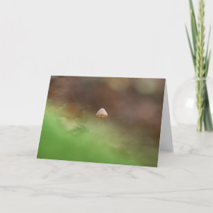 Tiny Mushroom Nature Foto Karte