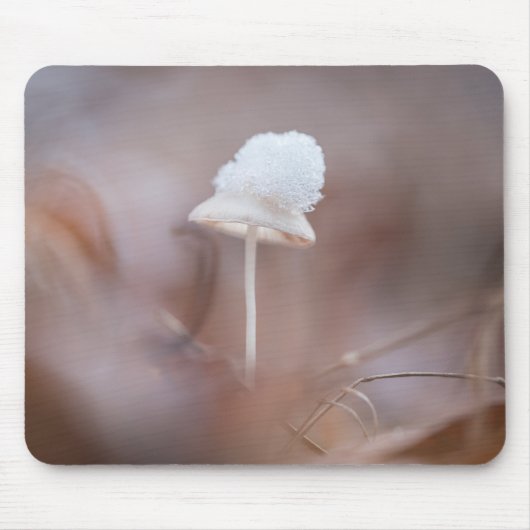Tiny Mushroom Nature Foto Mousepad (Vorne)