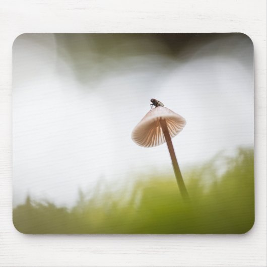 Tiny Mushroom Nature Foto Mousepad (Vorne)