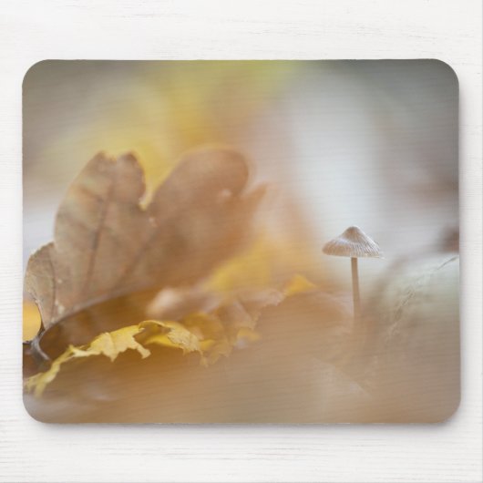 Tiny Mushroom Nature Foto Mousepad (Vorne)