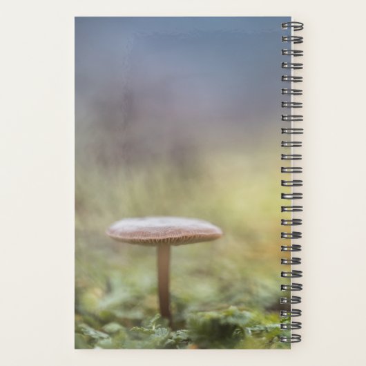 Tiny Mushroom Nature Foto Planer (Rückseite)