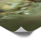 Tiny Mushroom Nature Foto Poster (Ecke)