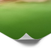 Tiny Mushroom Nature Foto Poster (Ecke)