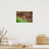 Tiny Mushroom Nature Foto Poster (Küche)