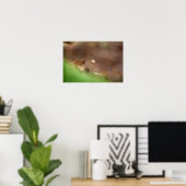 Tiny Mushroom Nature Foto Poster (Heimbüro)