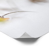 Tiny Mushroom Nature Foto Poster (Ecke)