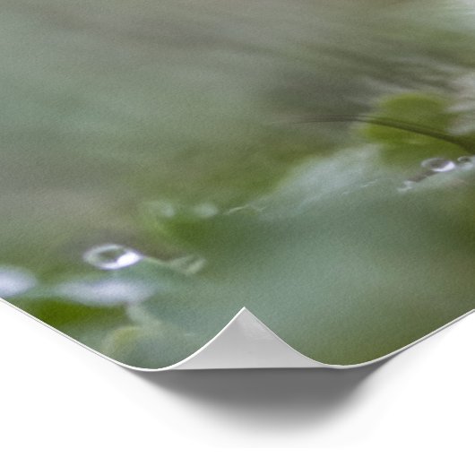 Tiny Mushroom Nature Foto Poster (Ecke)