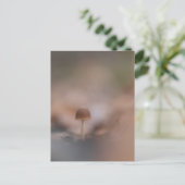 Tiny Mushroom Nature Foto Postkarte (Stehend Vorderseite)