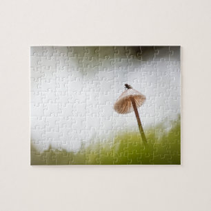 Tiny Mushroom Nature Foto Puzzle