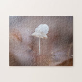 Tiny Mushroom Nature Foto Puzzle (Horizontal)