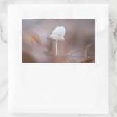 Tiny Mushroom Nature Foto Rechteckiger Aufkleber (Tasche)