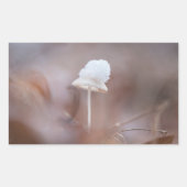 Tiny Mushroom Nature Foto Rechteckiger Aufkleber (Vorderseite)