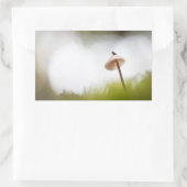 Tiny Mushroom Nature Foto Rechteckiger Aufkleber (Tasche)