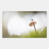 Tiny Mushroom Nature Foto Rechteckiger Aufkleber (Vorderseite)