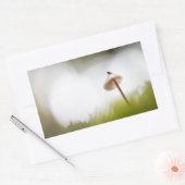 Tiny Mushroom Nature Foto Rechteckiger Aufkleber (Umschlag)