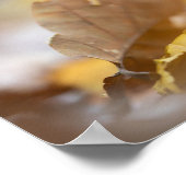Tiny Mushroom Nature Fotografy Poster (Ecke)