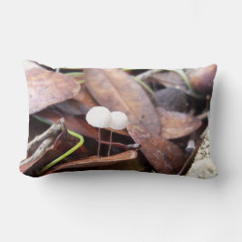 Tiny Mushrooms auf einem Lendenkissen