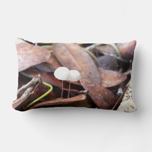 Tiny Mushrooms auf einem Lendenkissen (Vorderseite)