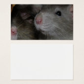 Tiny Noses (Vorne & Hinten)