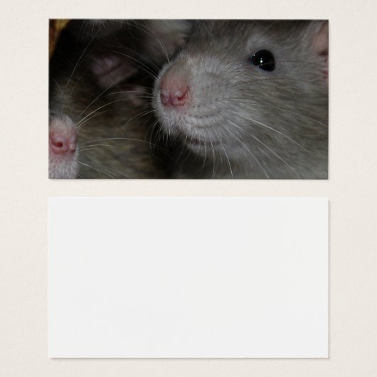 Tiny Noses (Vorne & Hinten)