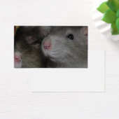 Tiny Noses (Schreibtisch)