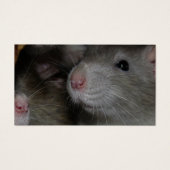 Tiny Noses (Vorderseite)