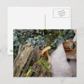 Tiny November Mushroom Postcard Postkarte (Vorne/Hinten)