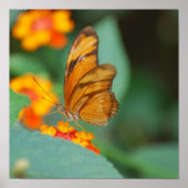 Tiny Orange Butterfly Poster (Vorne)