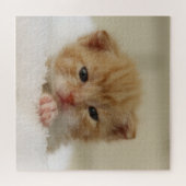 Tiny Orange Kitten Puzzle (Horizontal)