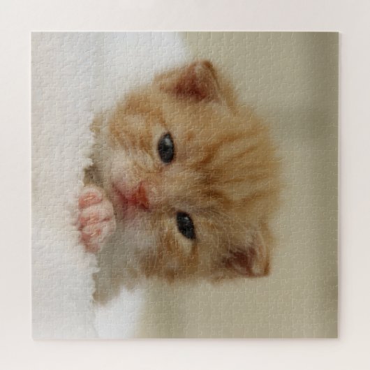 Tiny Orange Kitten Puzzle (Horizontal)