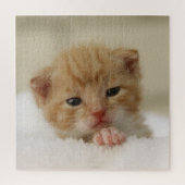 Tiny Orange Kitten Puzzle (Vertikal)