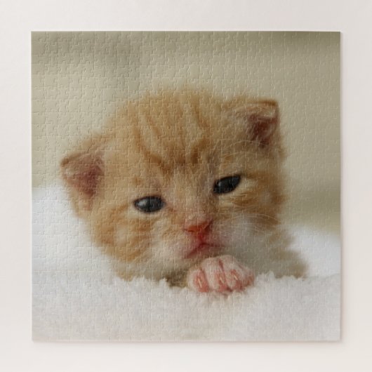 Tiny Orange Kitten Puzzle (Vertikal)