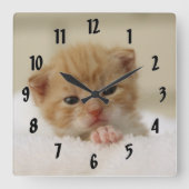 Tiny Orange Kitten Quadratische Wanduhr (Vorderseite)
