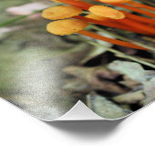 Tiny Orange Wild Mushrooms 8x10 Nature Fotodruck (Ecke)